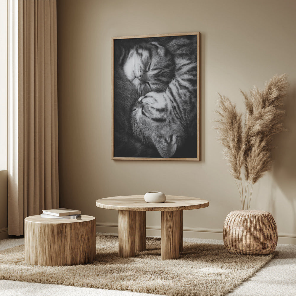 Yin och Yang | Poster