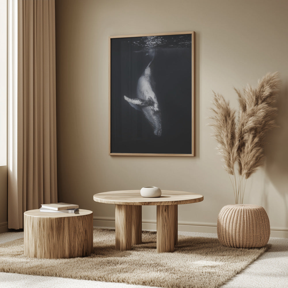 Svart val | Poster