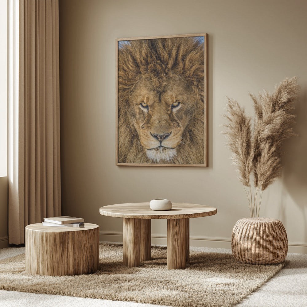 Seriöst lejon | Poster