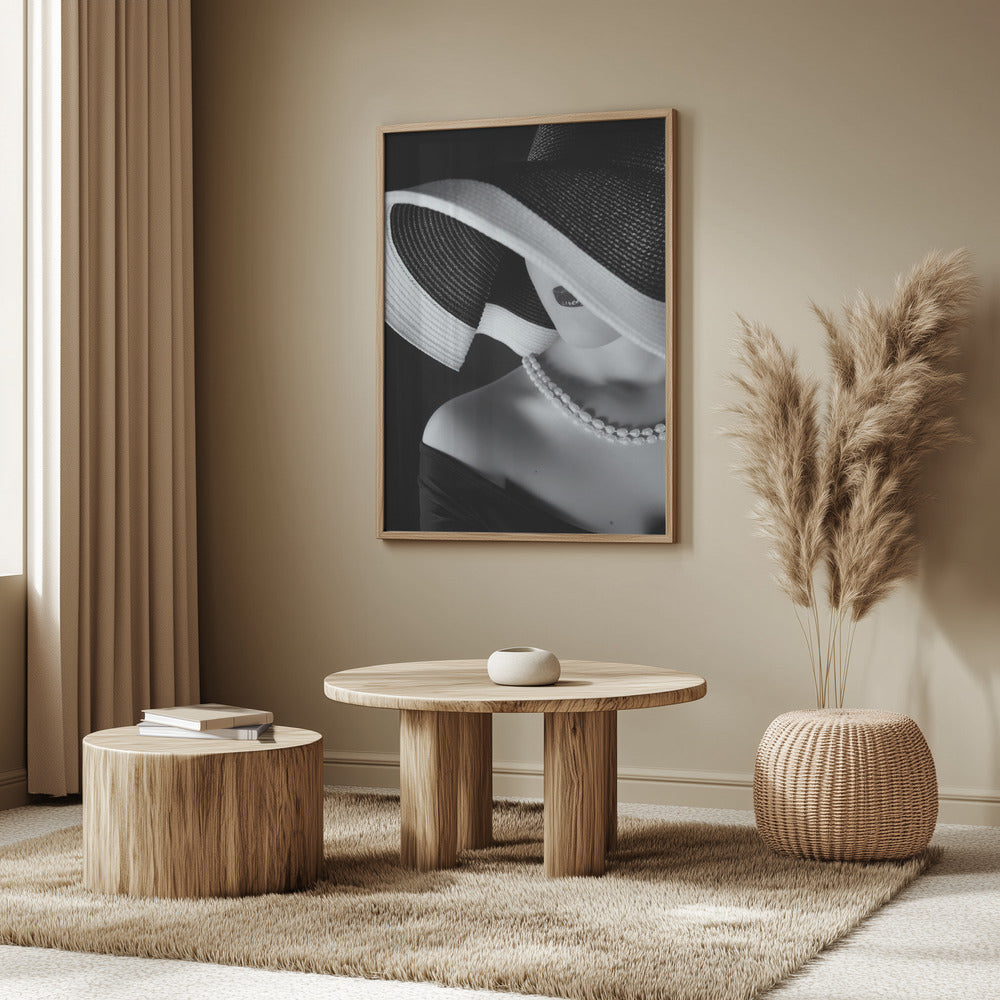 Elegans i skuggan | Poster