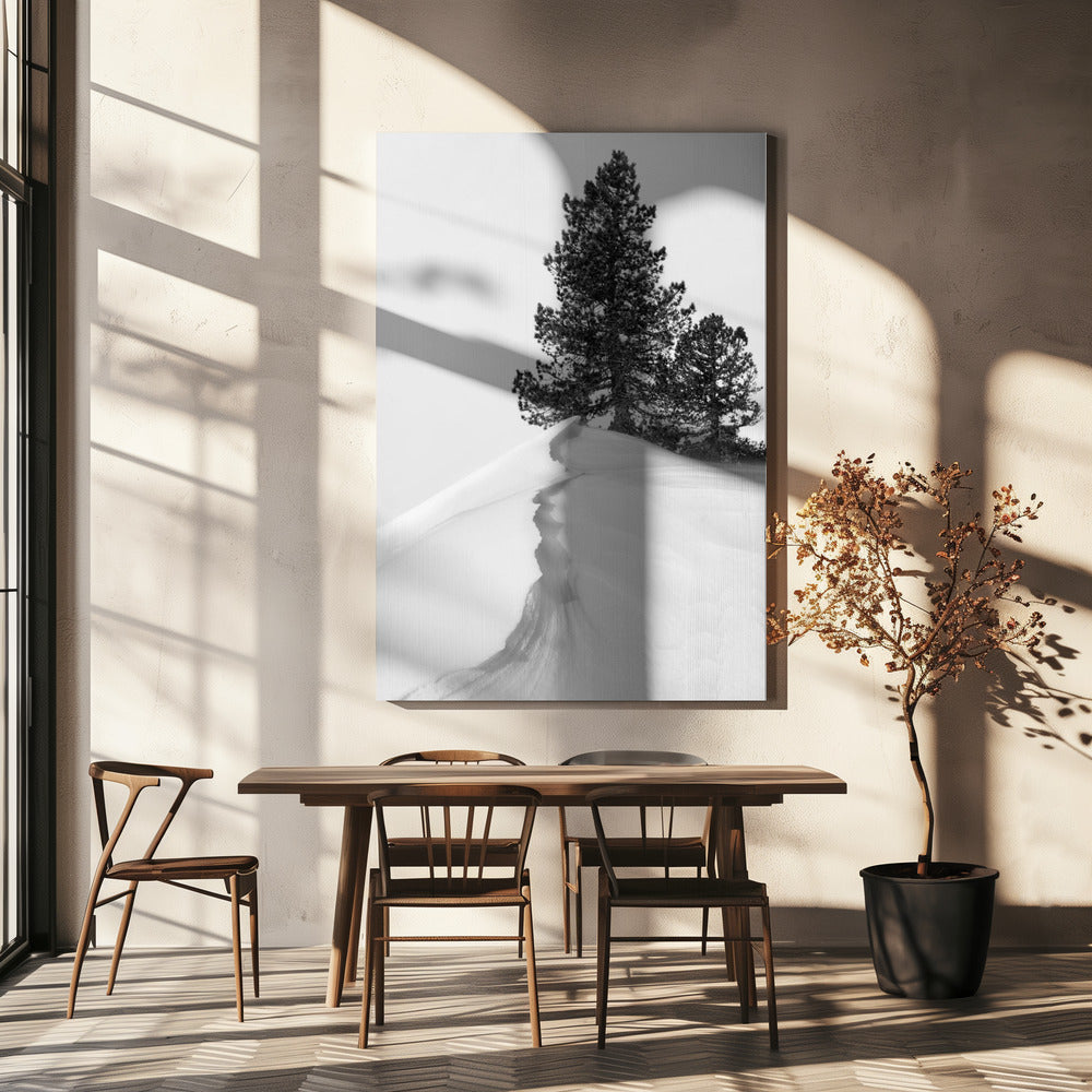 Om snön och formerna | Canvas