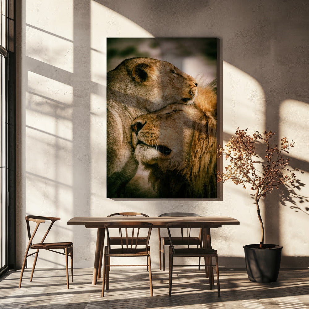 Vad är kärlek | Canvas