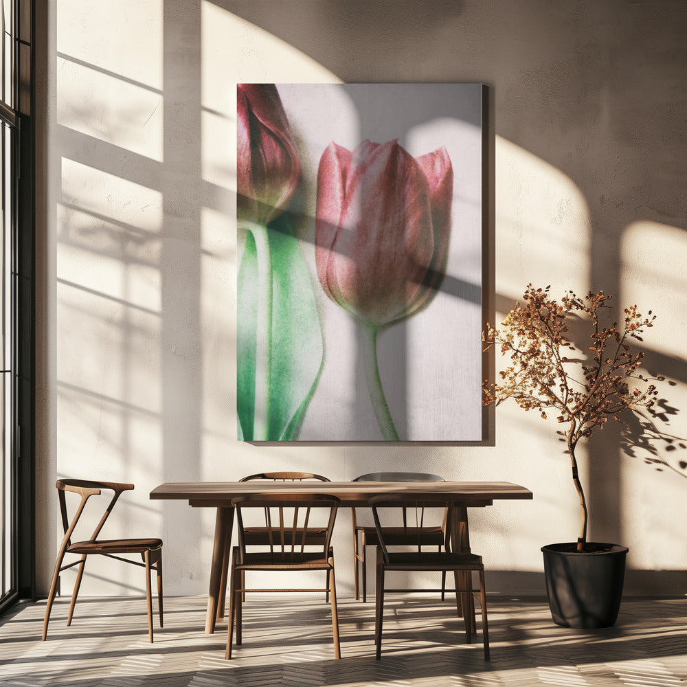 Vårälskarna | Canvas