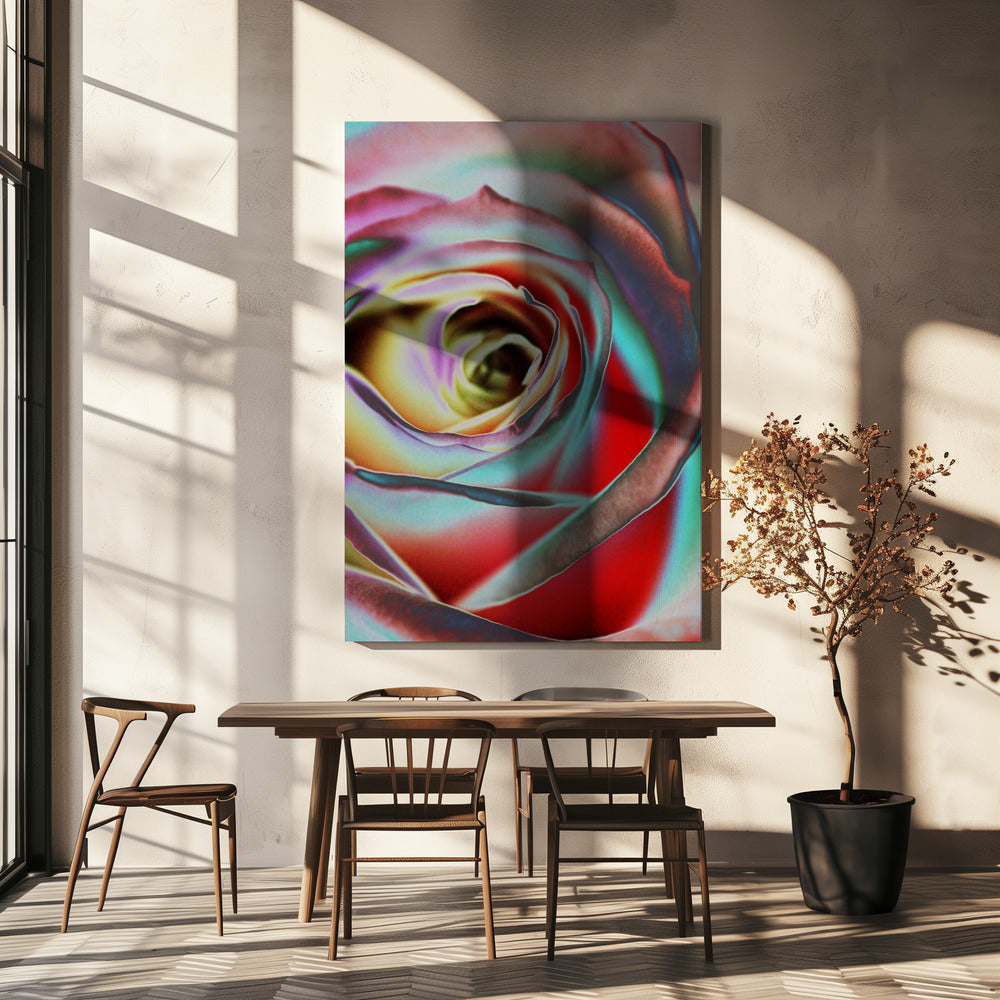 Ros | Canvas