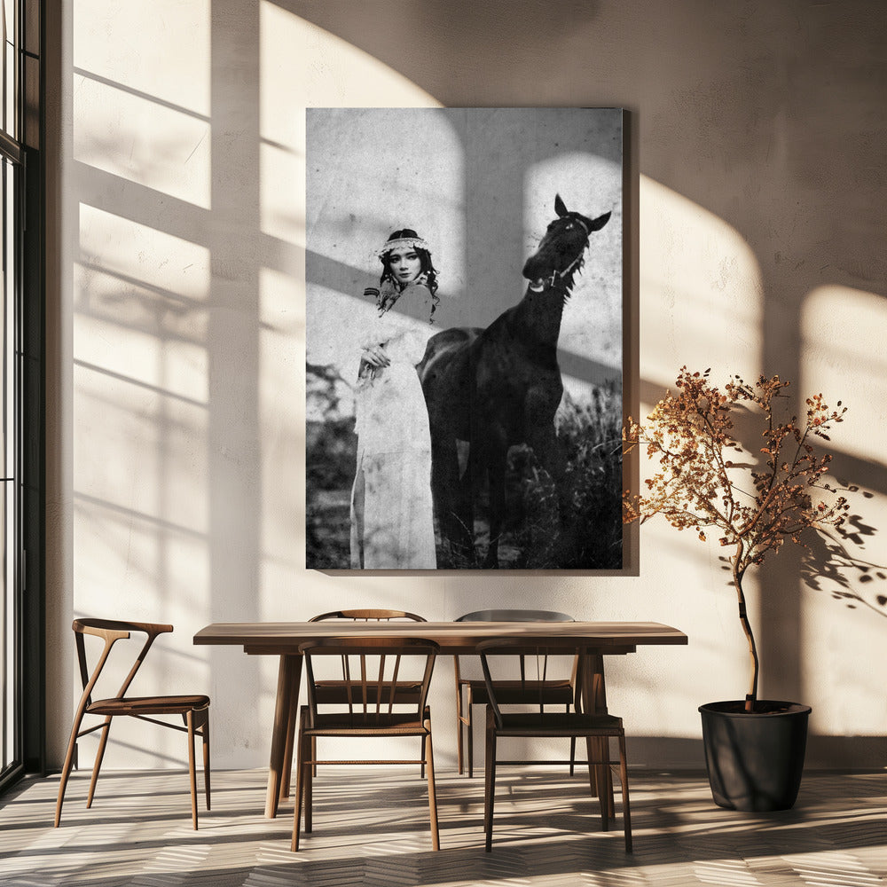 napelu | Canvas