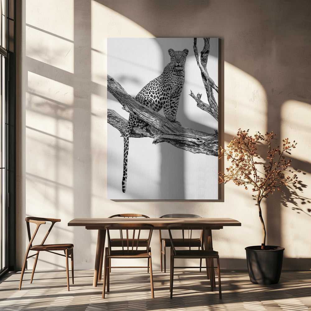 Leopardporträtt - Monosvart | Canvas