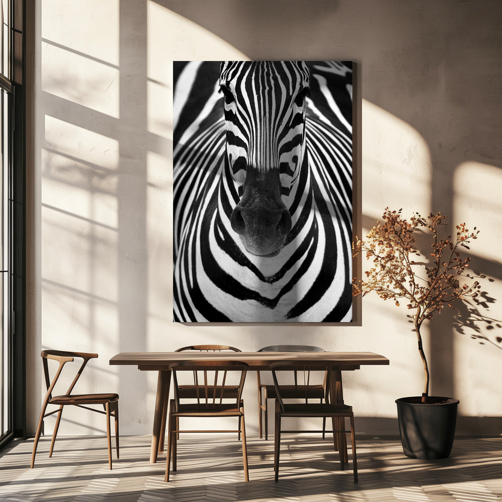 ZEBRA | Canvas
