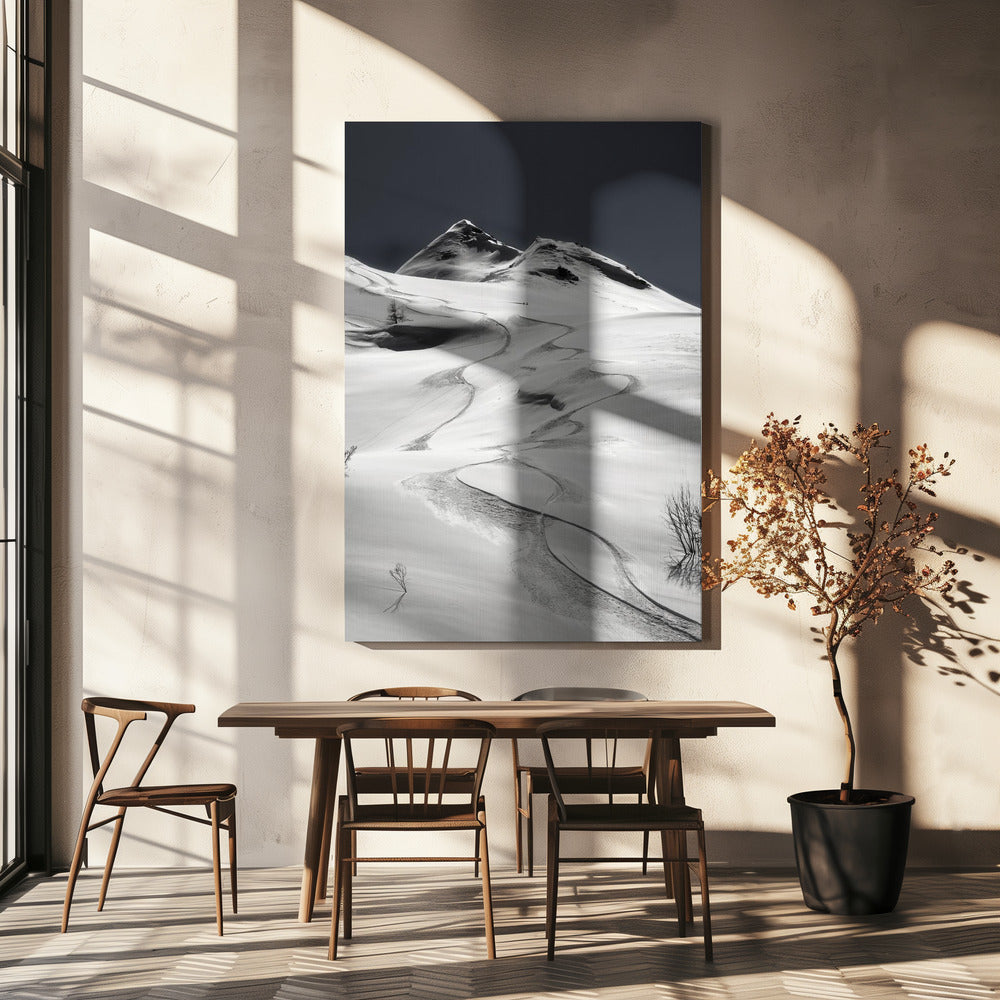 snålskjuts | Canvas