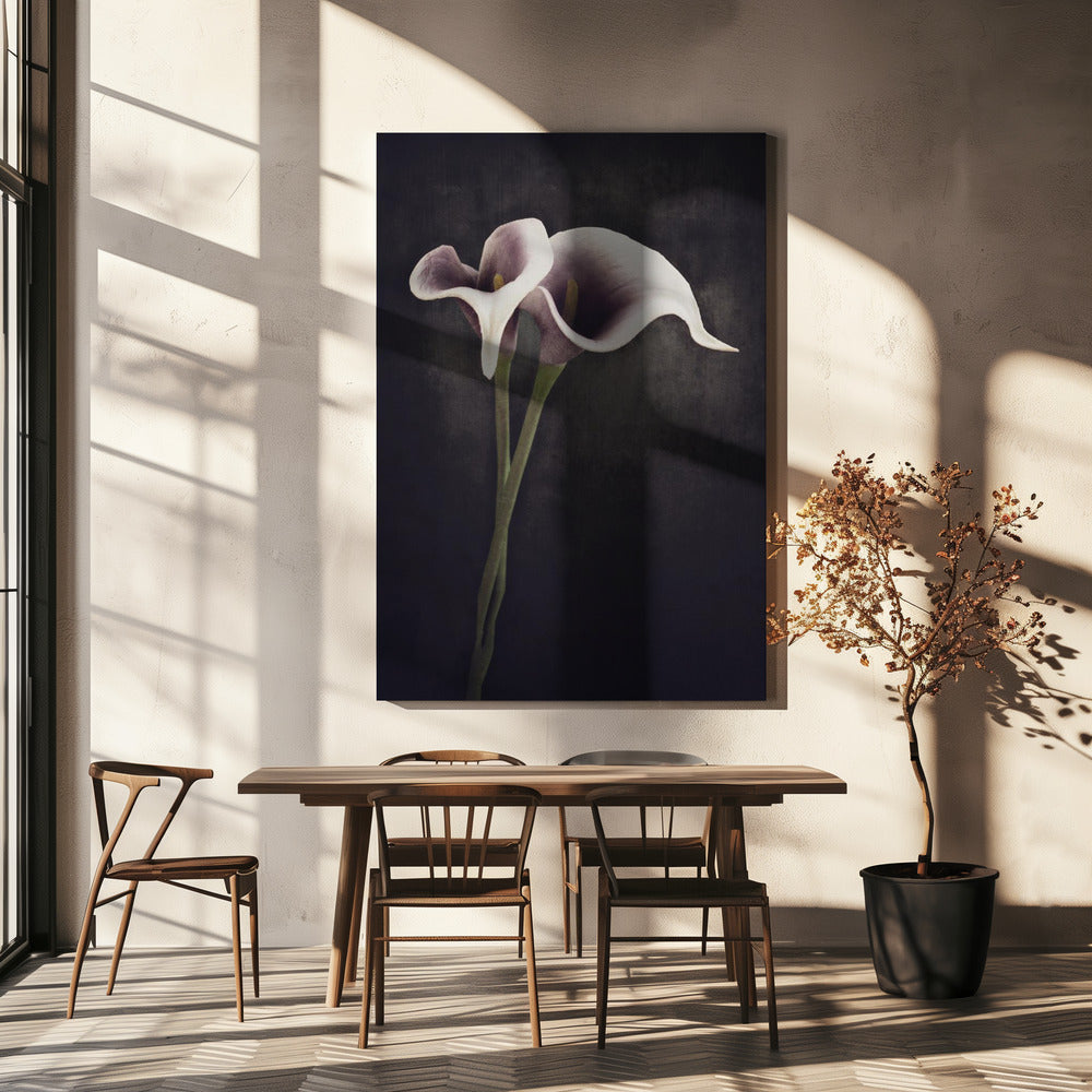 Bonded | Canvas