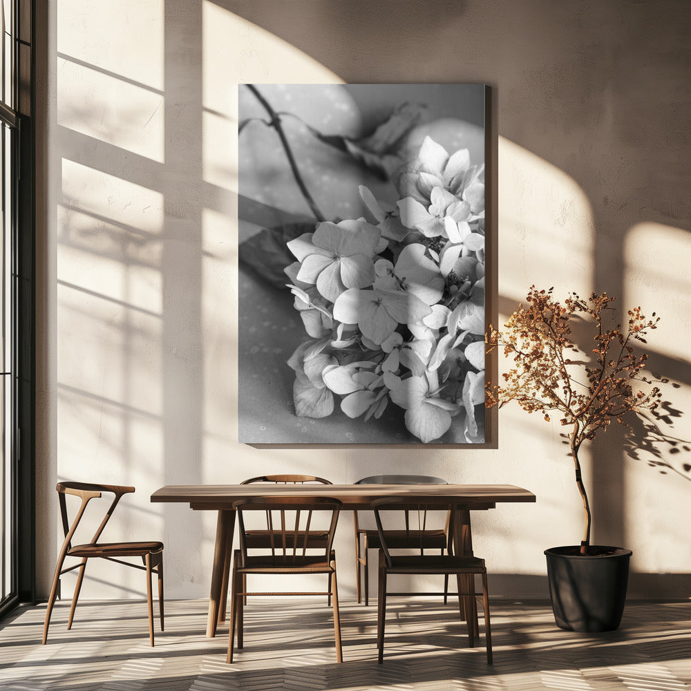 Torkade blommor tallrik_svart & vit | Canvas