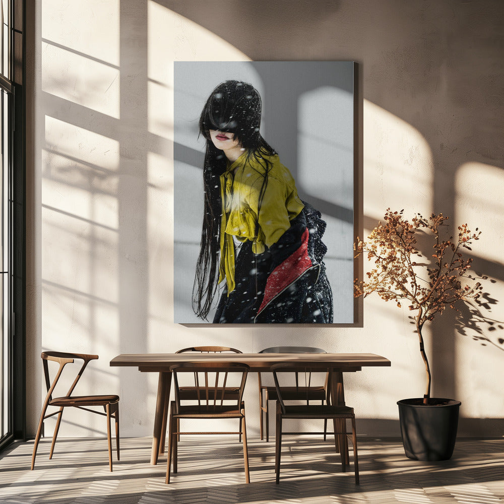 Der Beginn des Schnees | Leinwand-Bilder