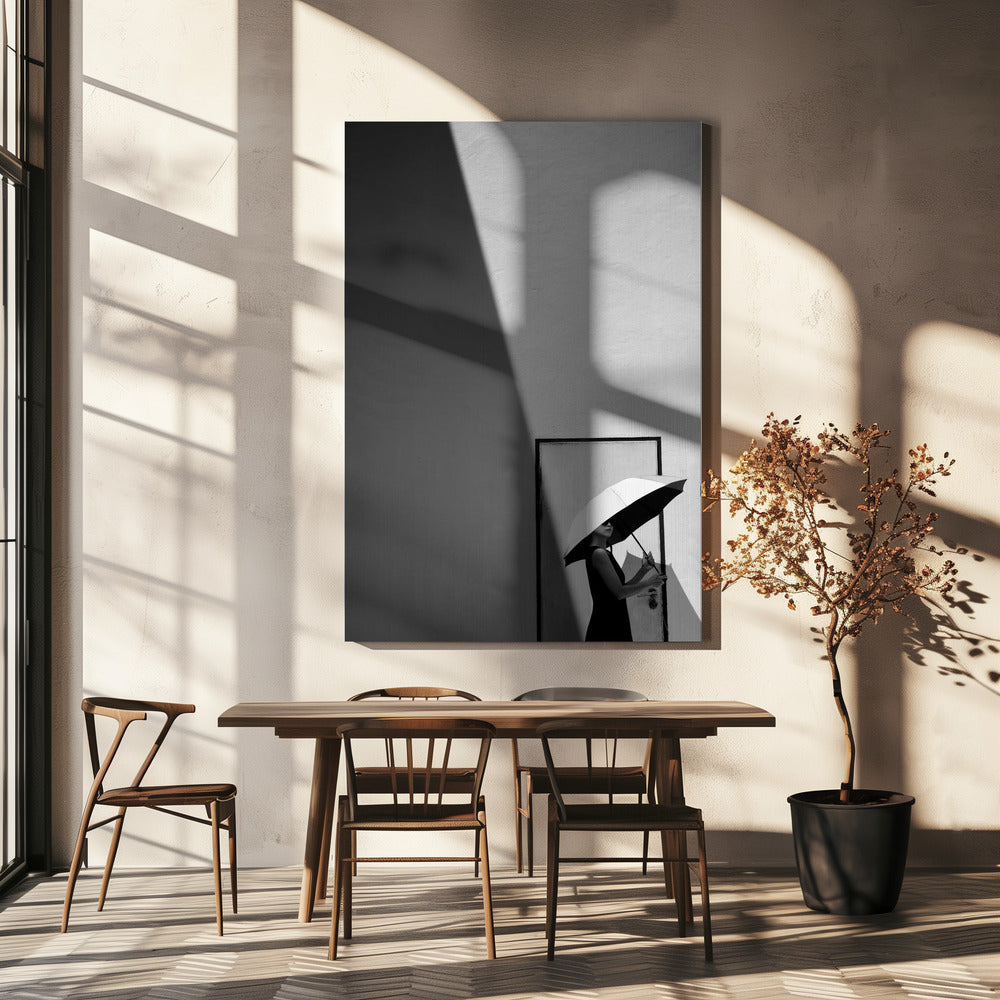 Light and Shadow | Canvas