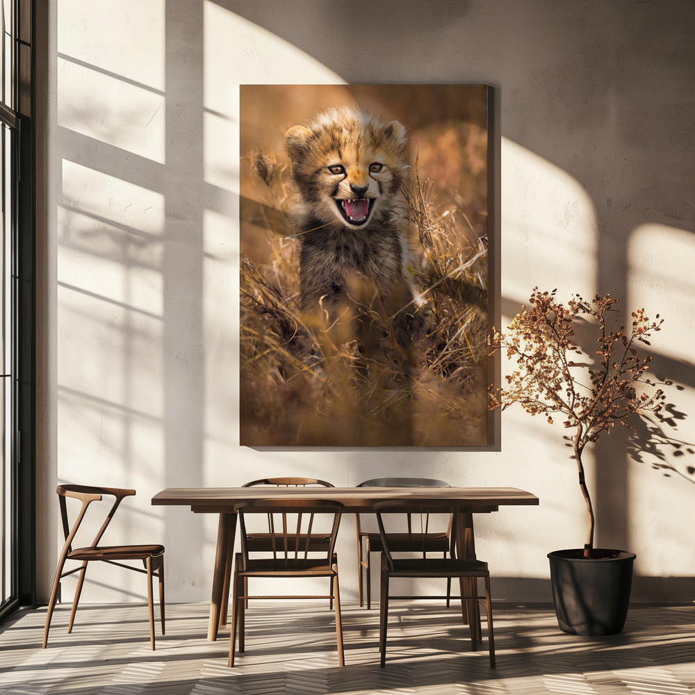 Stort leende | Canvas
