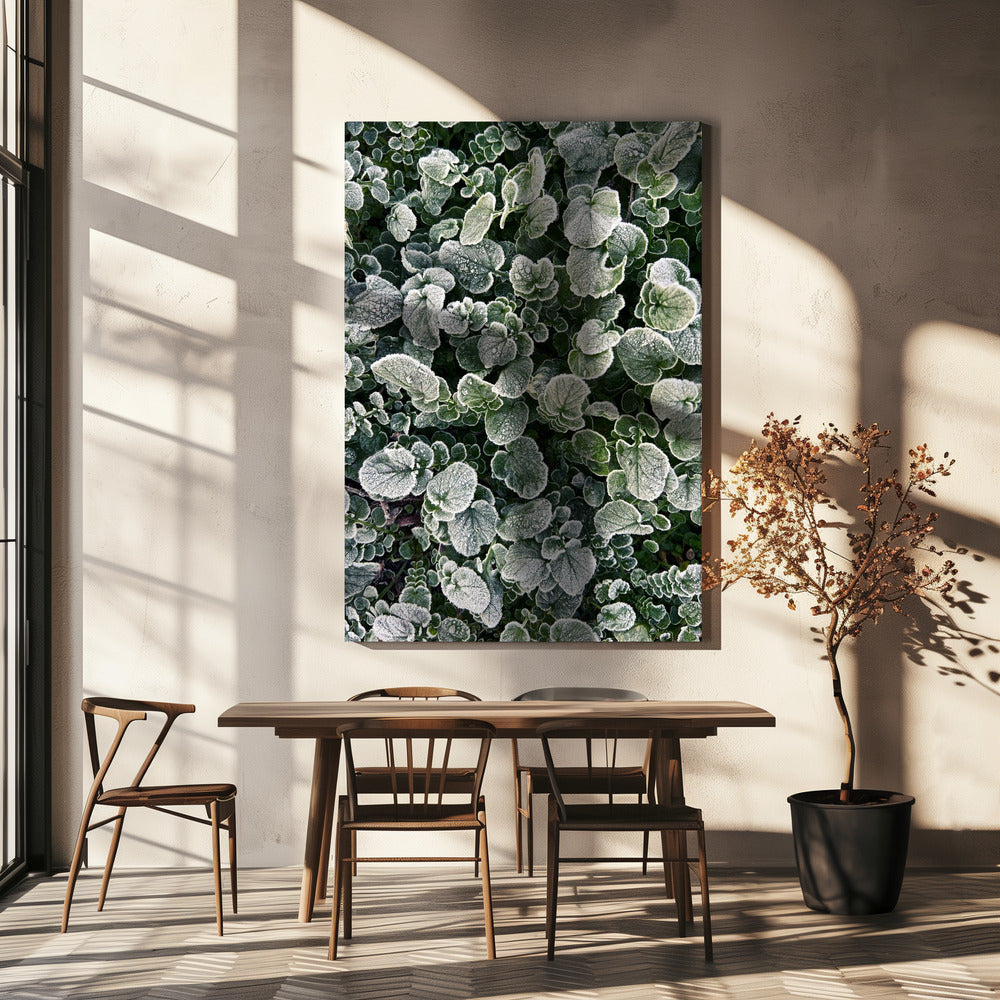 Givré | Tableaux sur Toile