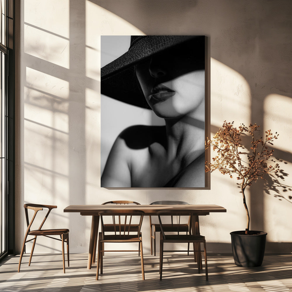 Hatt och skugga | Canvas