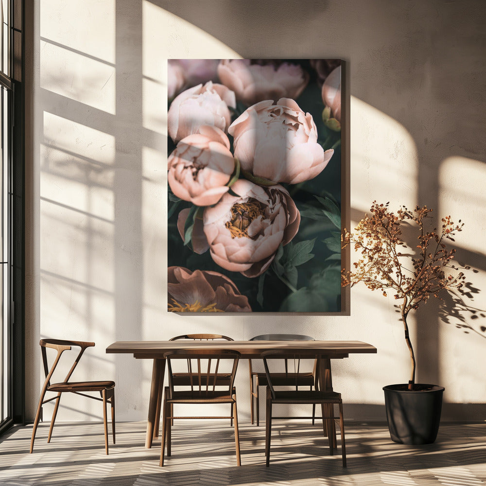 Korallpioner | Canvas