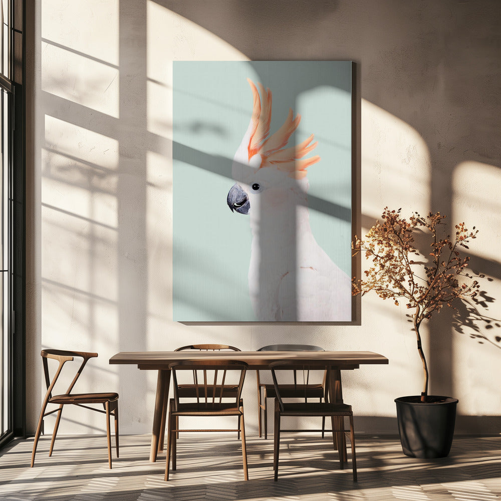 Cacatoès | Tableaux sur Toile