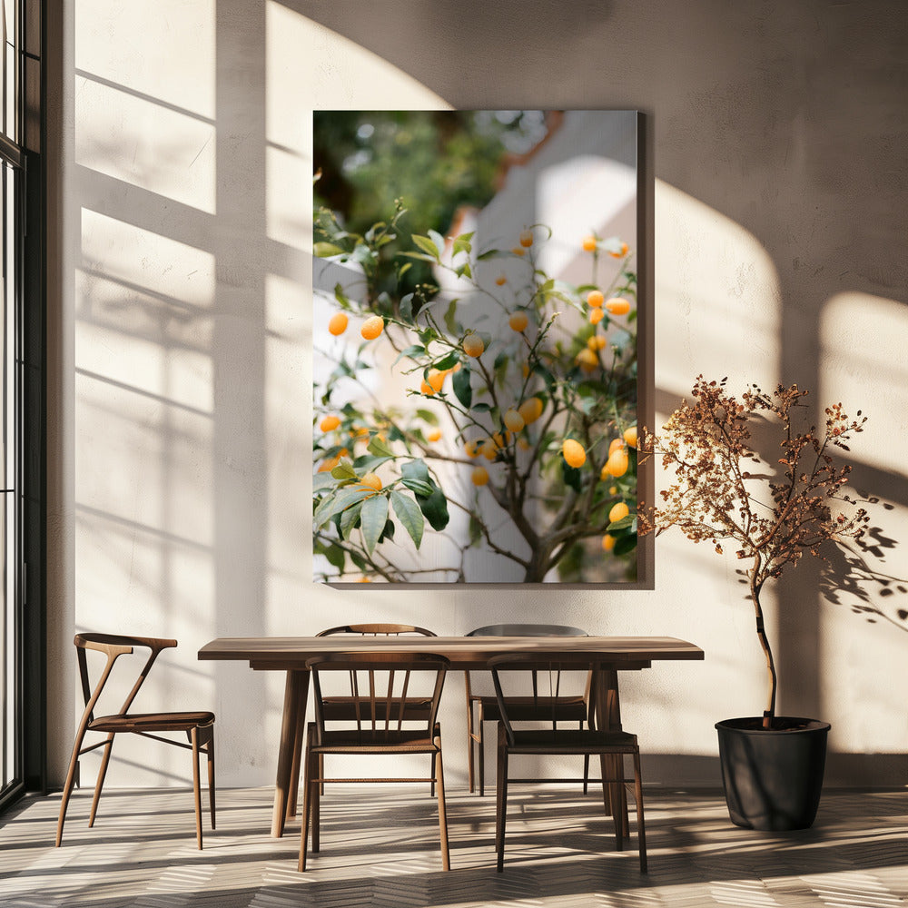 Orange Capri | Canvas