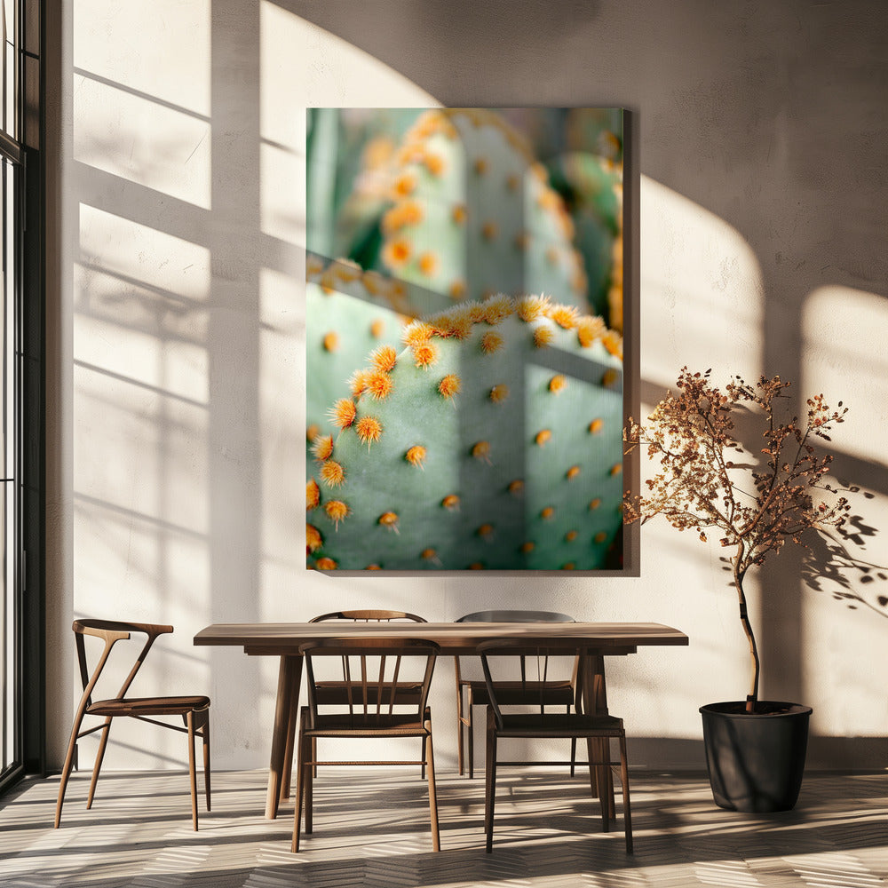 Orange och grönt II - Marrakech botanisk fotografi | Canvastavla