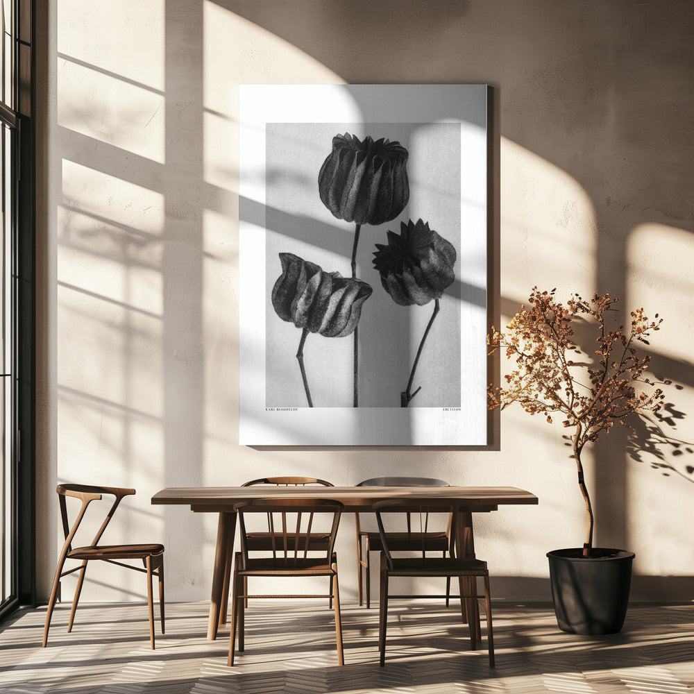 Abutilon (limemalva) Canvas