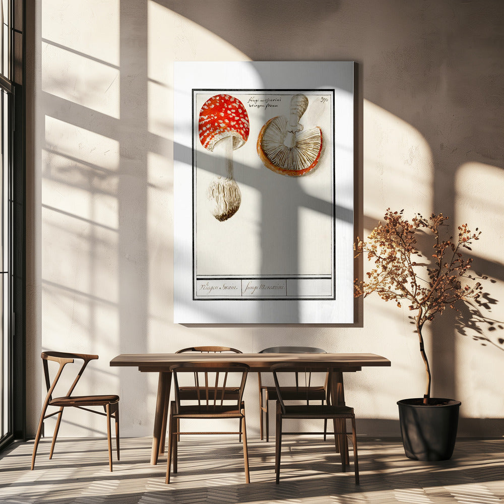 Flugsvamp, Amanita Muscaria | Canvas