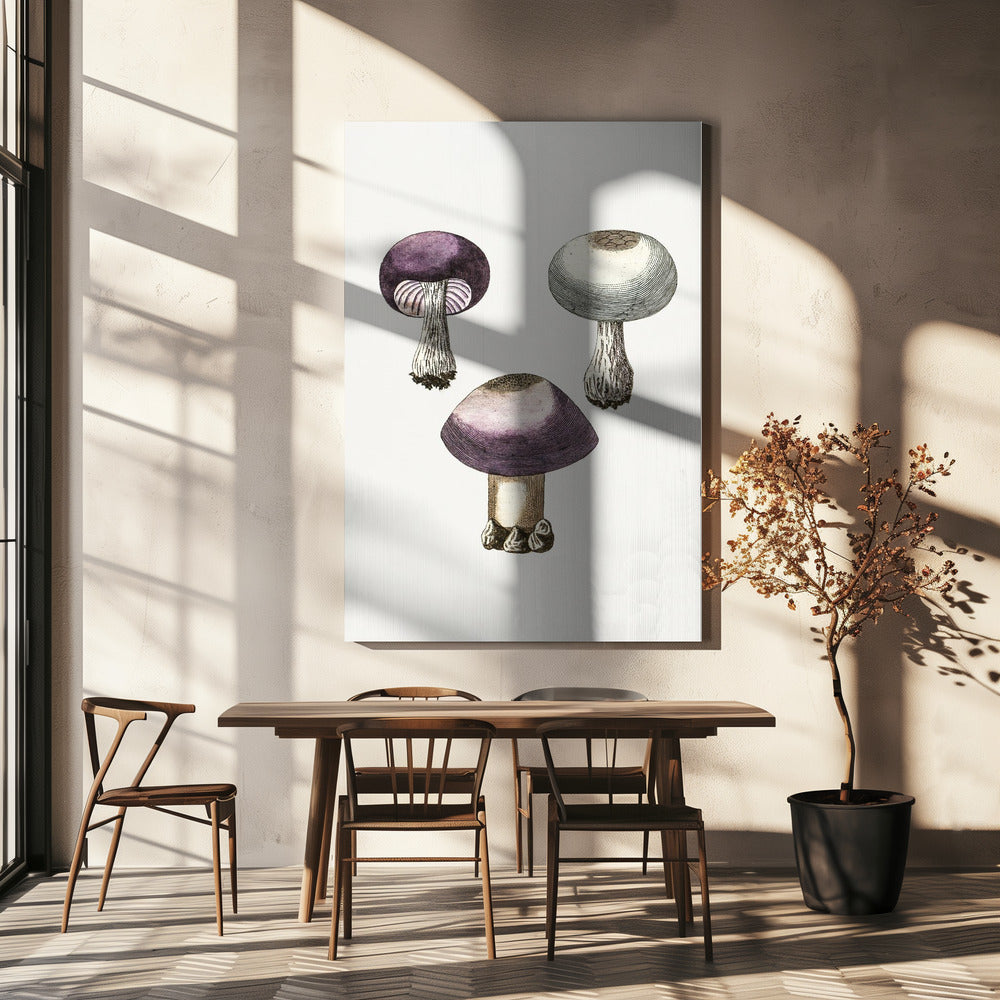 Handmörk Violett Webcap Svamp | Canvas