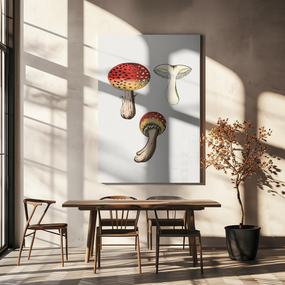 Handritad flugsvamp | Canvas