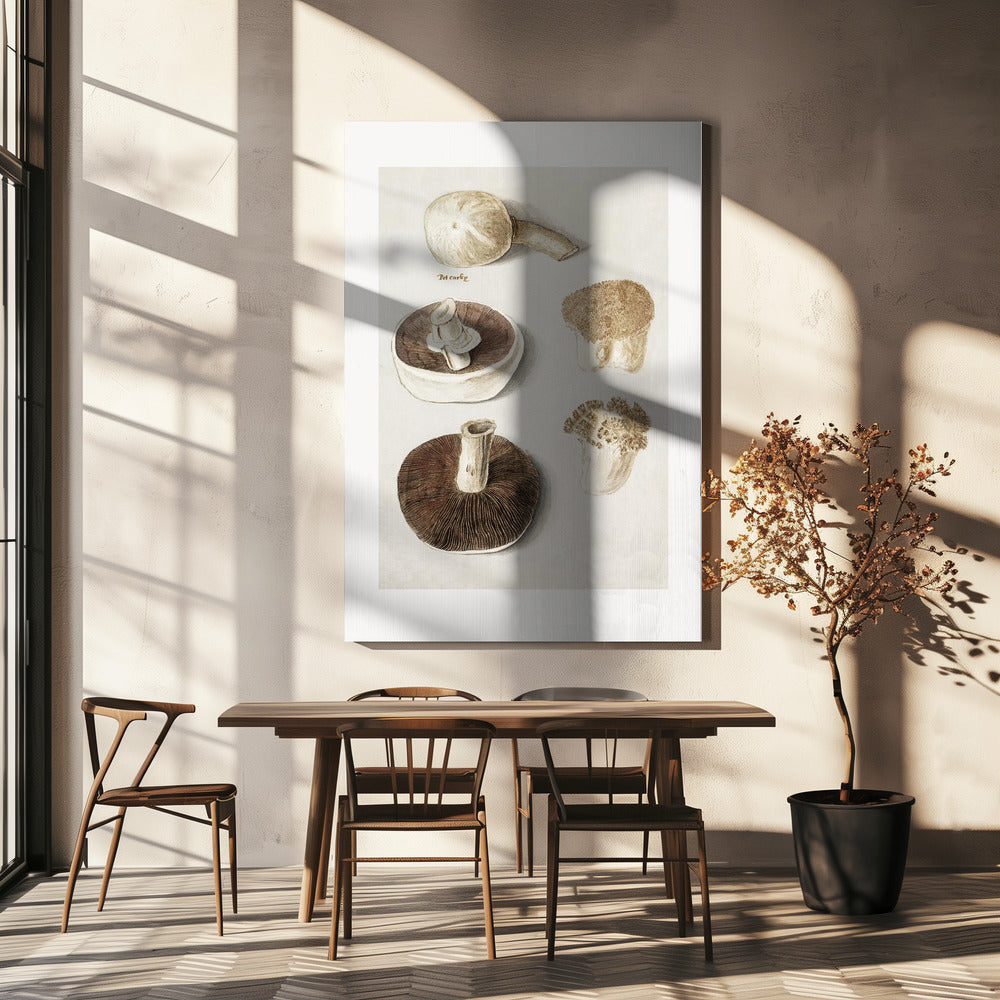 Vanlig ängssvamp, Agaricus Campestris stående | Canvas