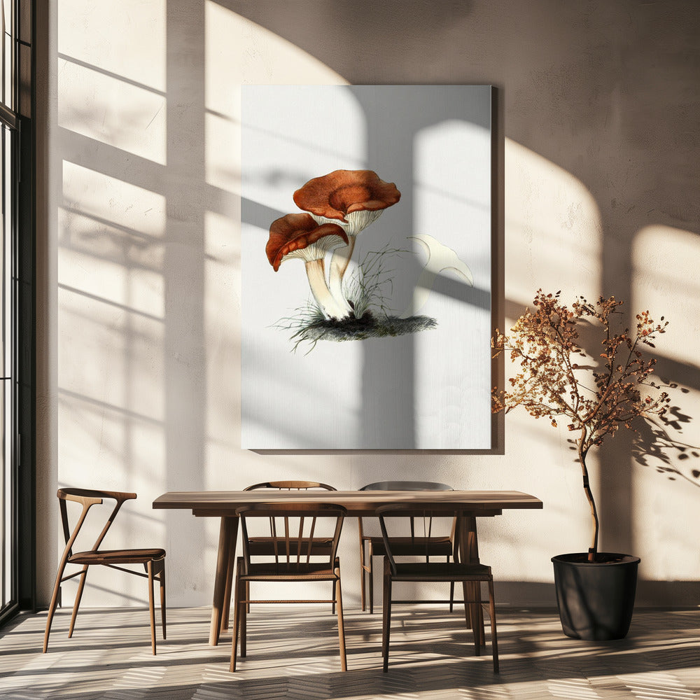 Handritad rödbrun mjölkkapsvamp | Canvas
