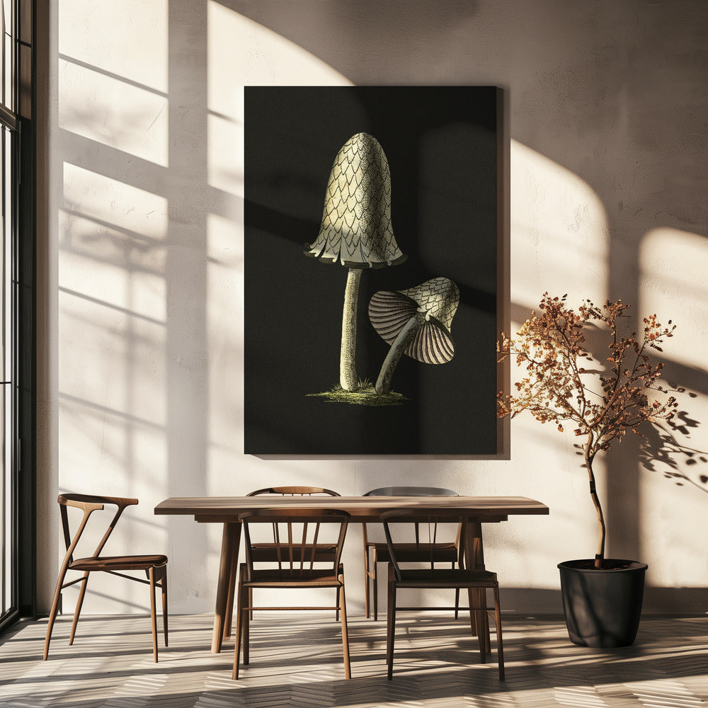Vintage bläckmössa ätbar svamp svart bakgrund | Canvas