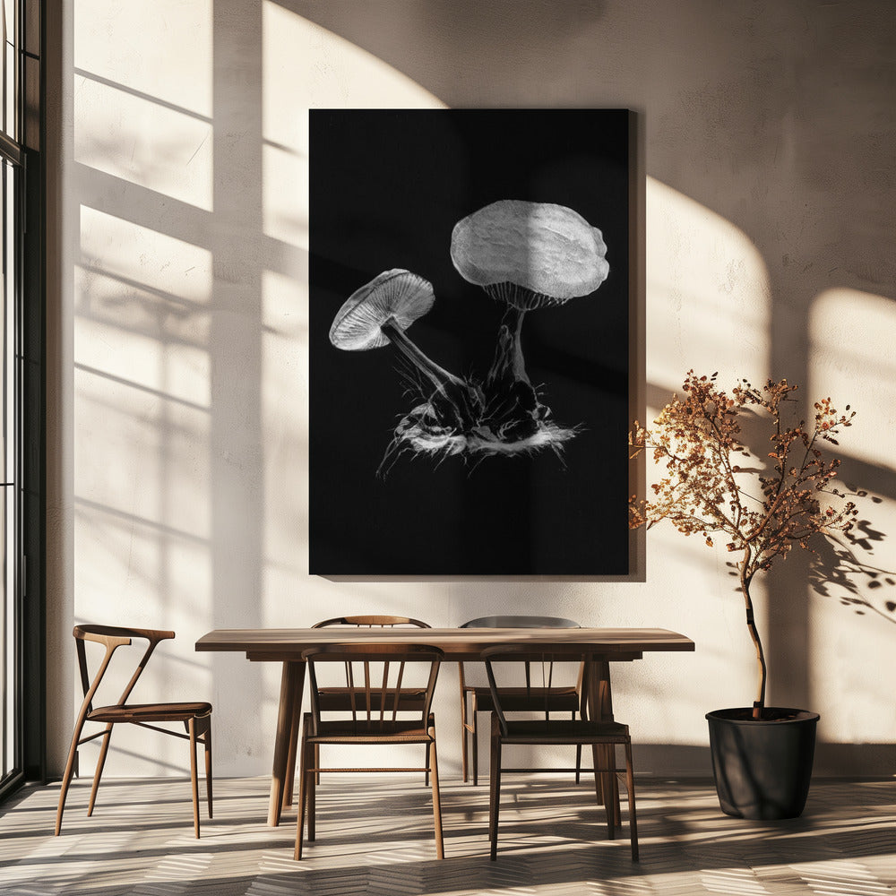 Vintage Violett Webbmössa Svamp Mörk Svart/Svart | Canvas