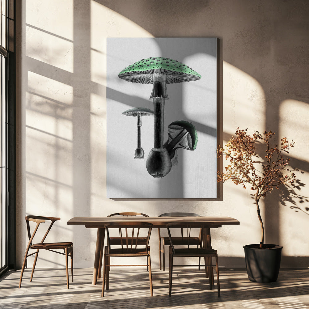 Amanita Muscaria Vit bakgrund Grön | Canvastavla
