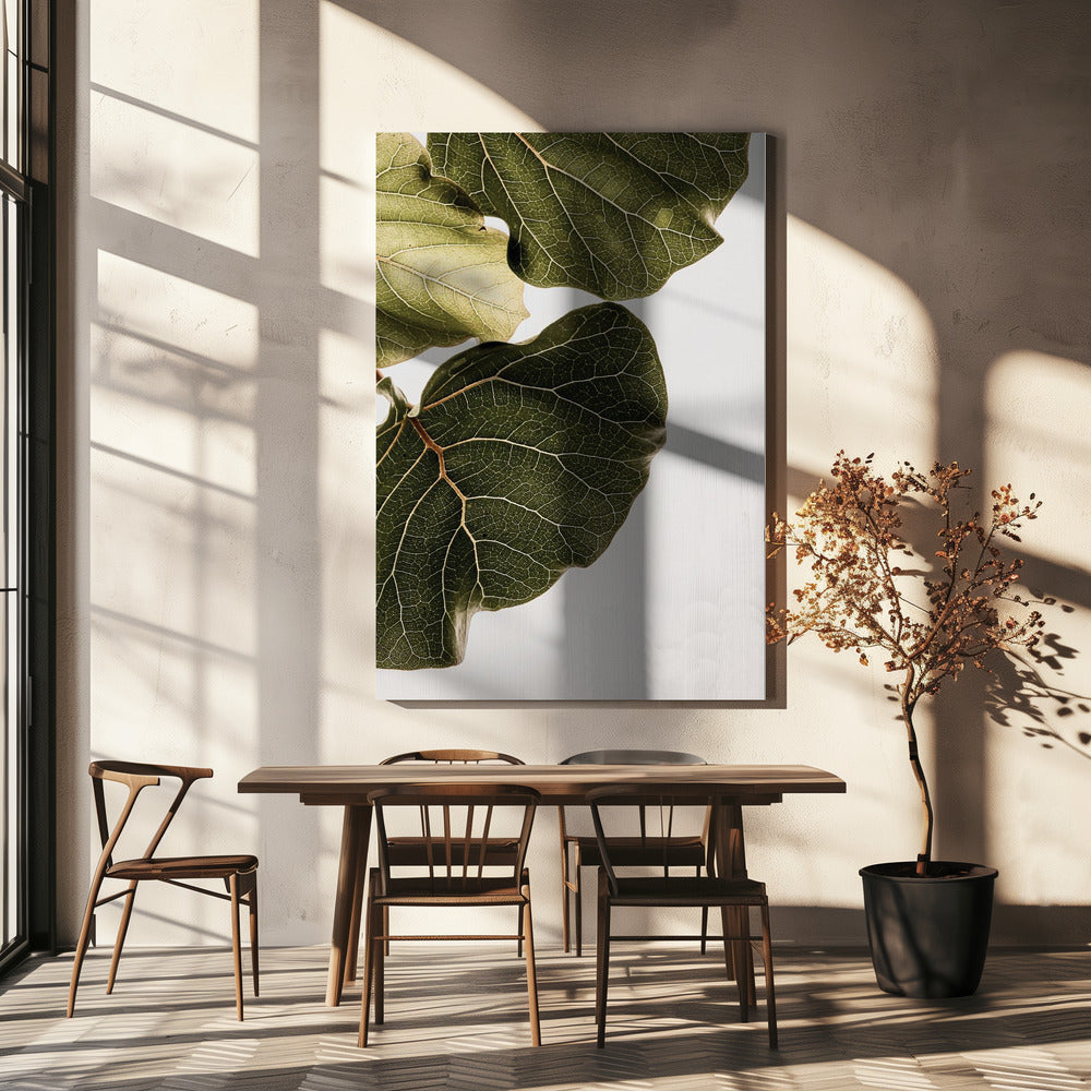 Abutifolia nr 1 | Canvas