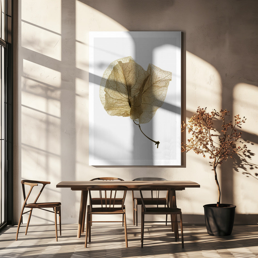 Bougainvilleastudie nr 3 | Canvas