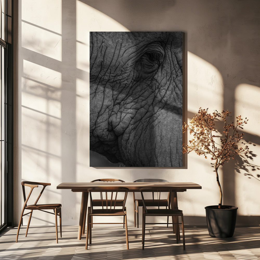 Elefant 01 | Leinwand-Bilder