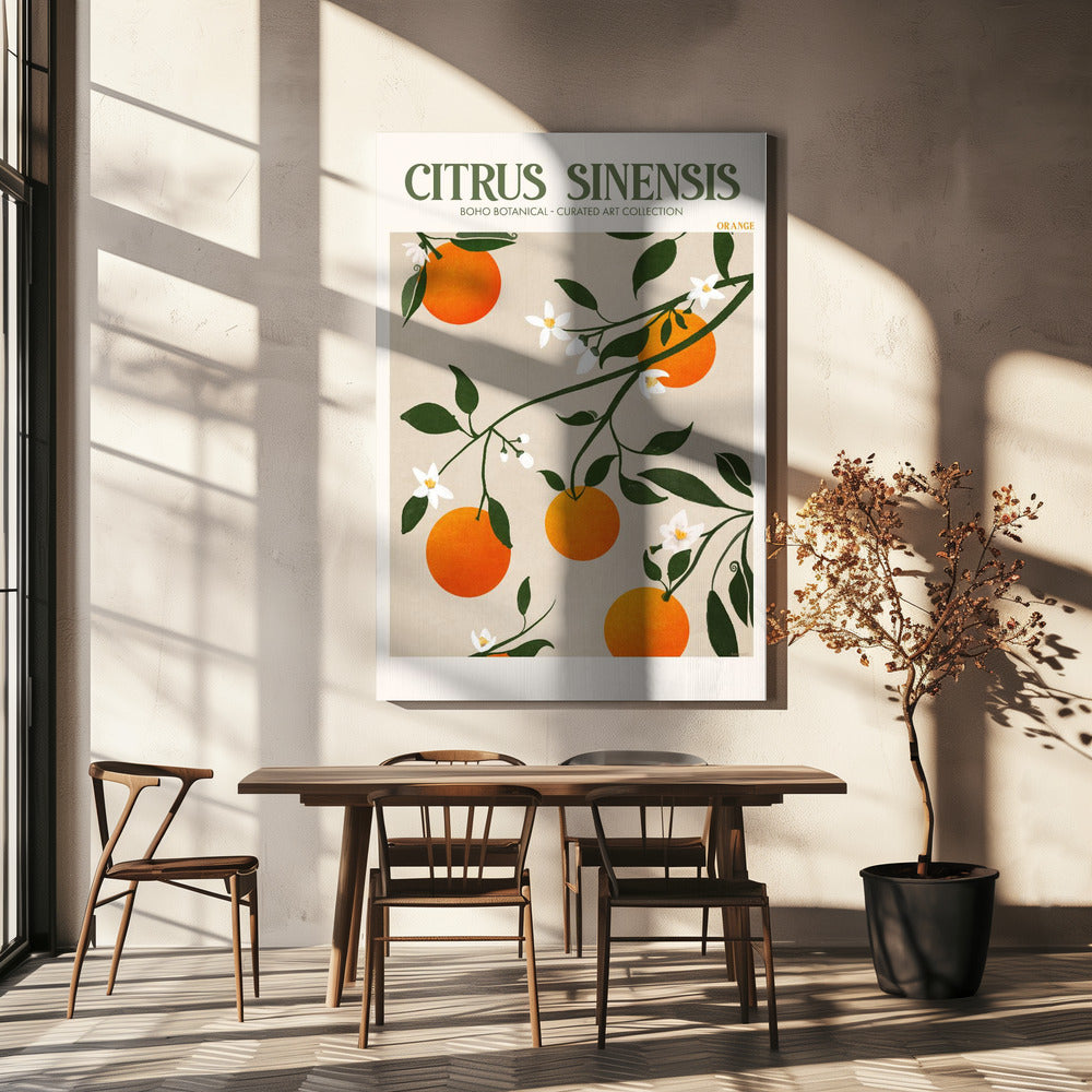 Citrus Sinensis - Apelsin | Canvas