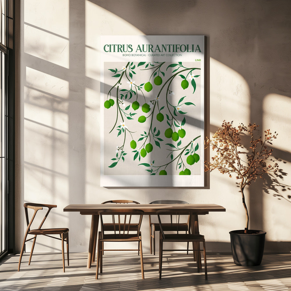 Citrus Aurantifolia - Lime | Canvas