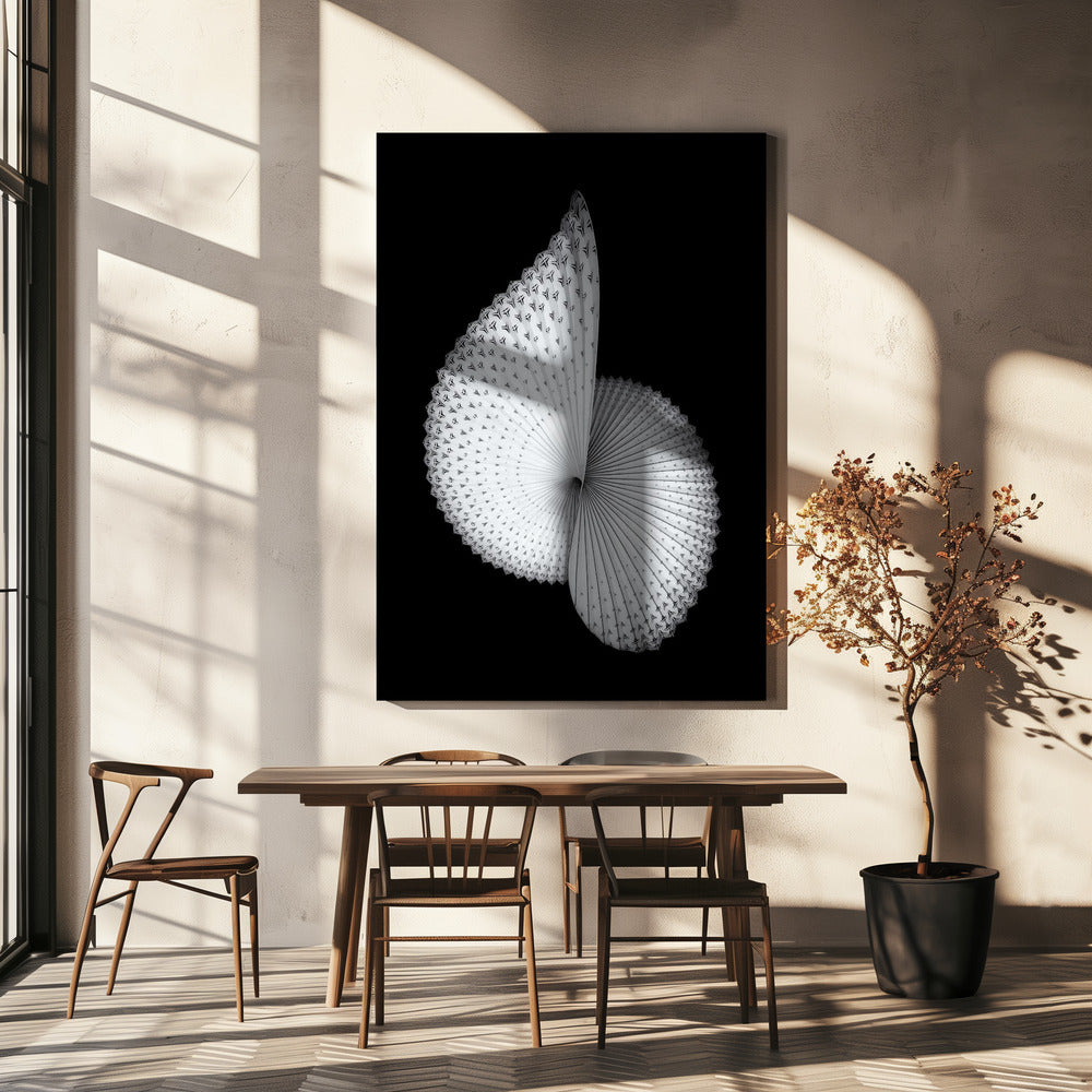 Nautilusliknande skulptur | Canvas