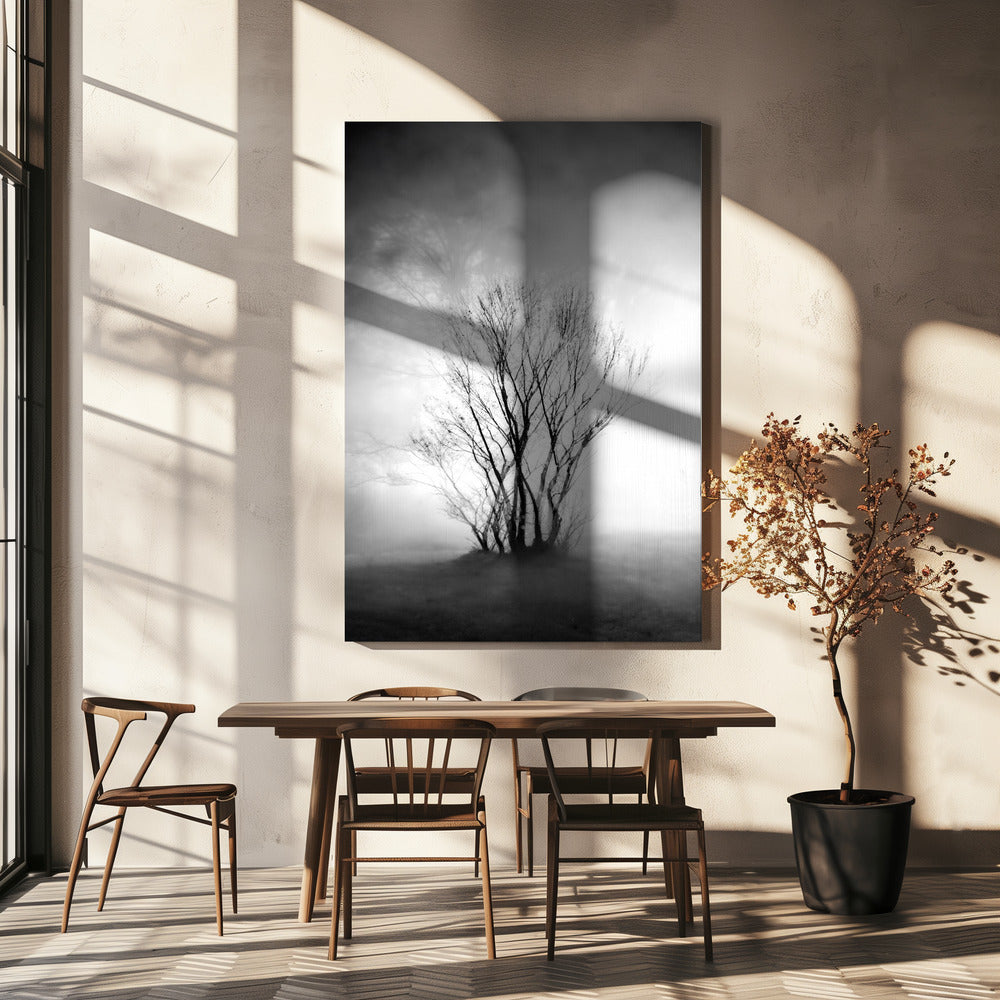 naken | Canvas