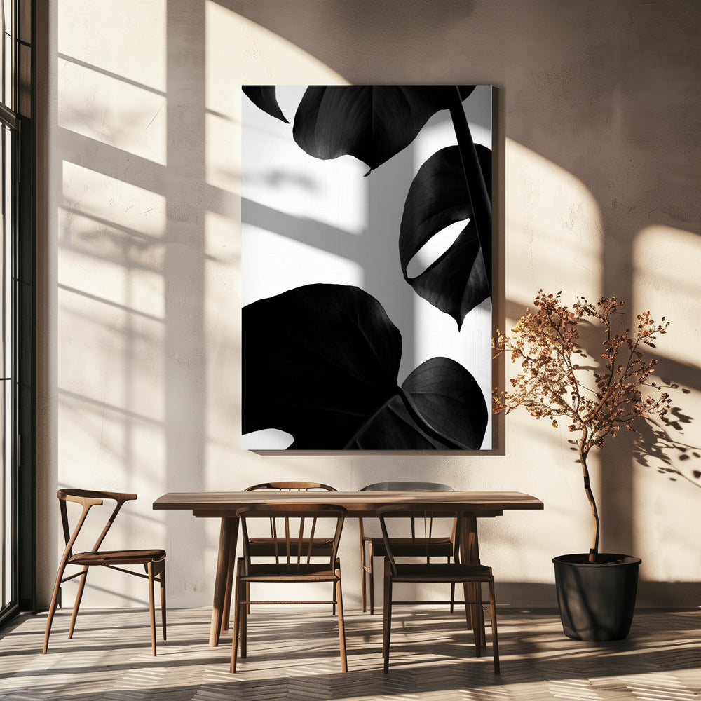 Kontrasterande Monstera | Canvas