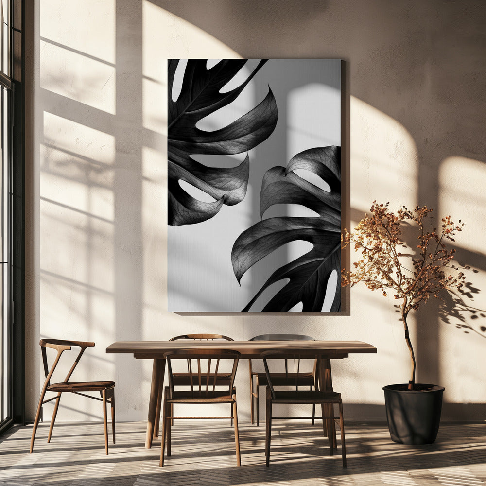 Monokrom Mostera Poster | Canvas