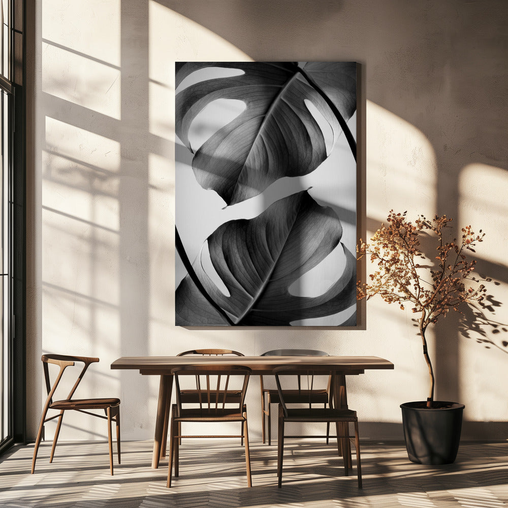 Monstera monokrom | Canvas