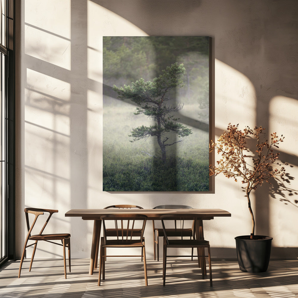 Dsf1453 | Canvas
