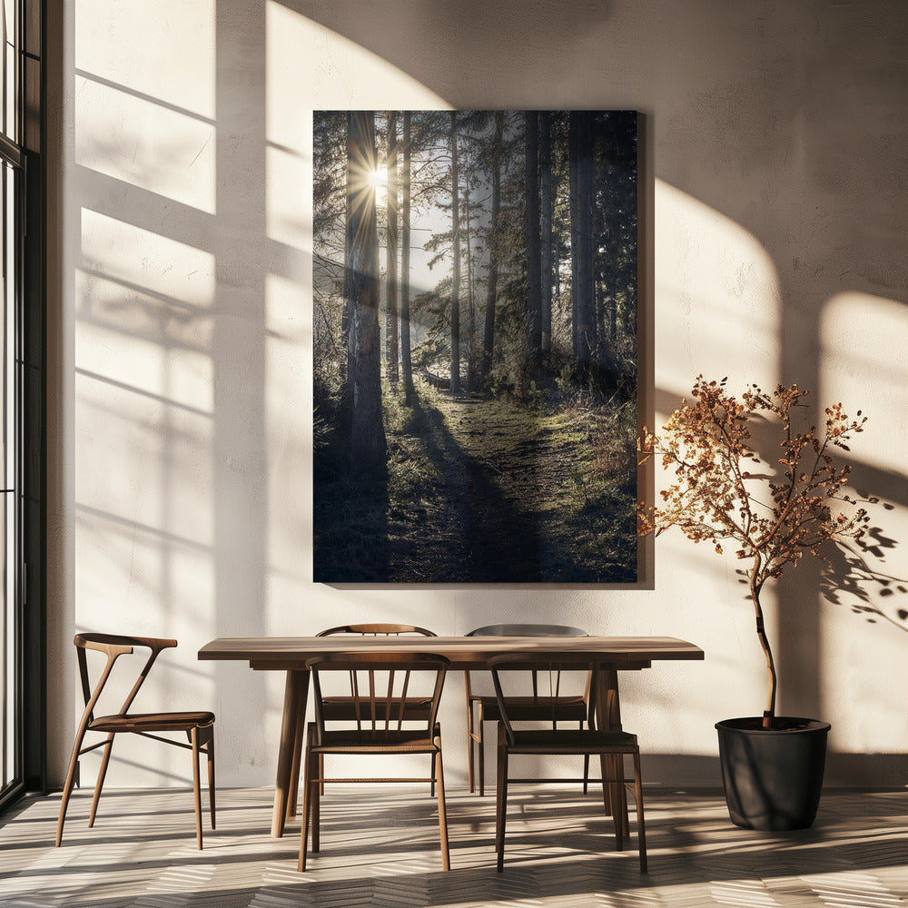 Dsf2913 Hdr 1 | Canvas