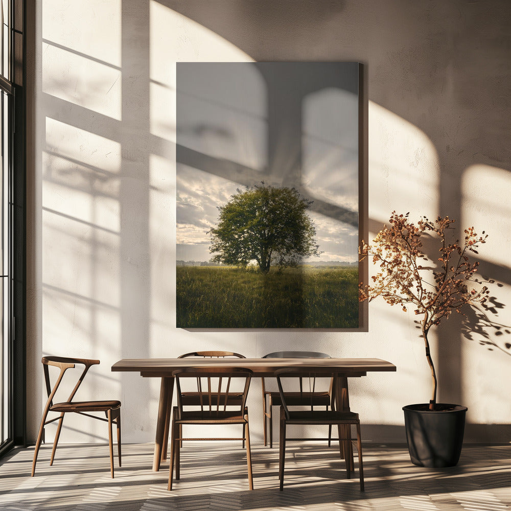 20220616 Dsf4394 | Canvas