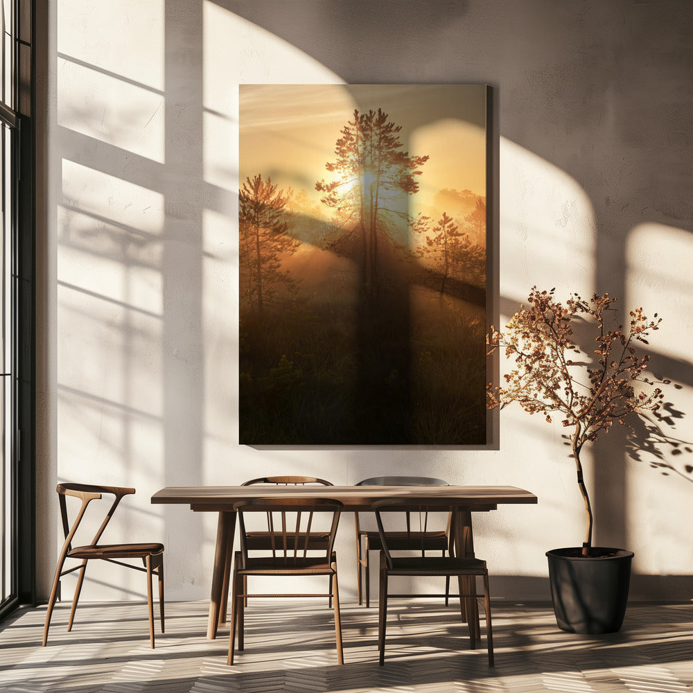 20220809 Dsf8009 Hdr 1 | Canvas