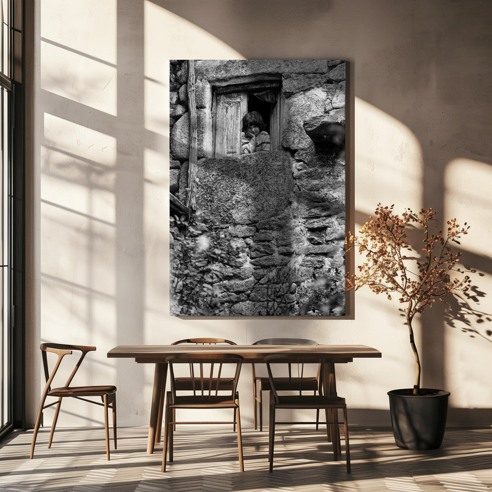 Trás-os-Montes 195 7 24 | Canvas