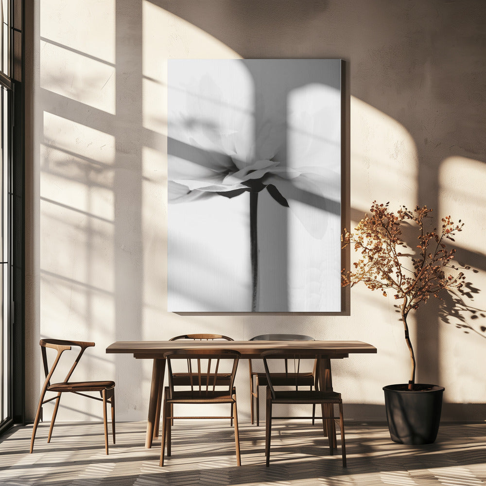 Japandi Coco | Canvas