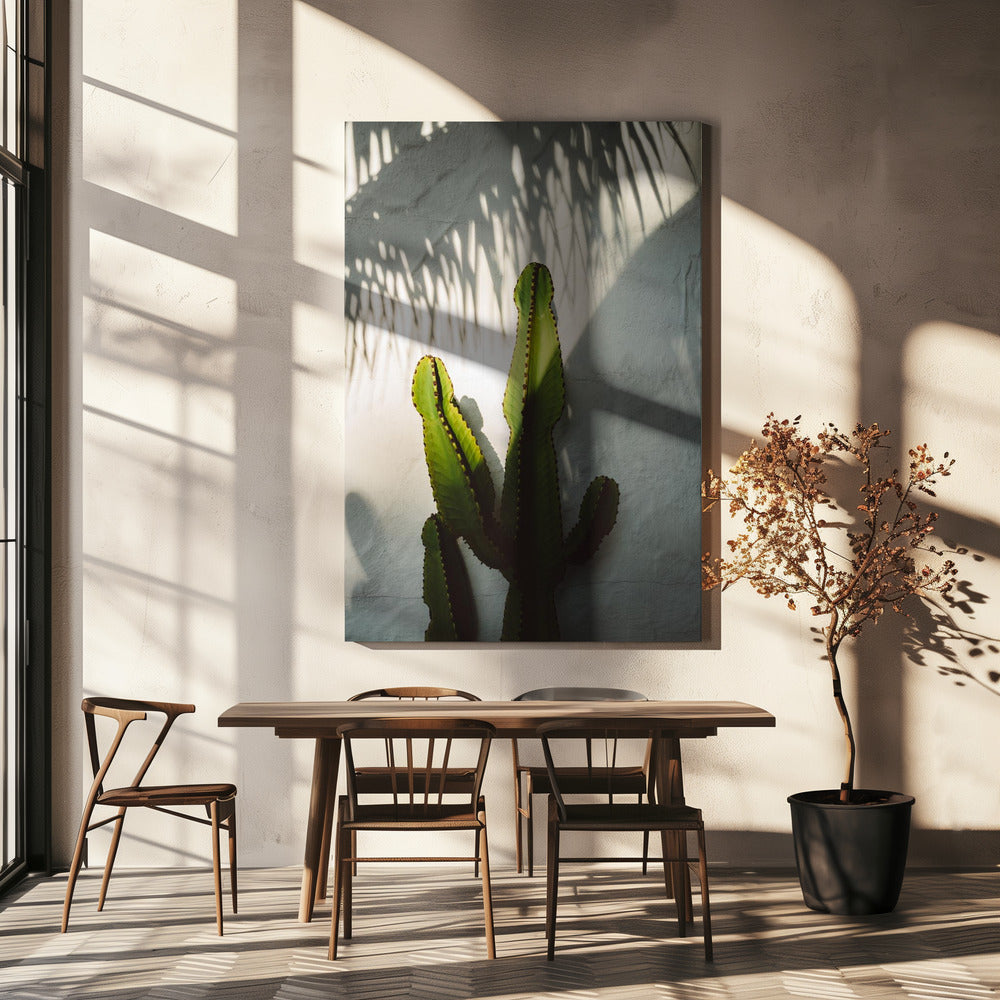 Sociala skuggor | Canvas