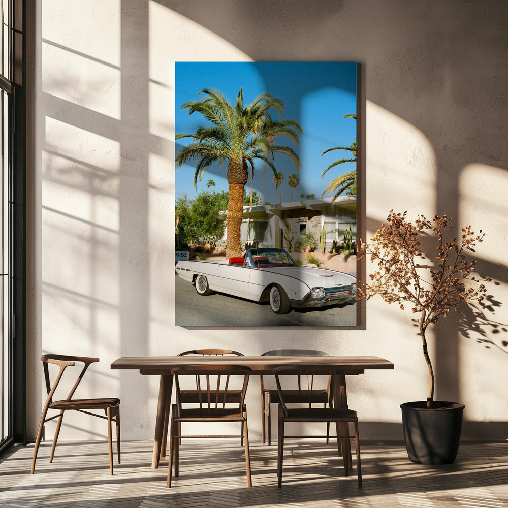 Palm Springs Thunderbird | Canvas